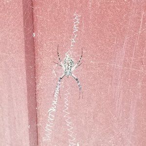 Meet your Posher, Karla